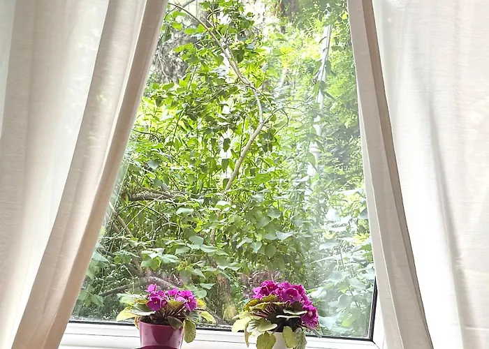 Cozy Apartment Floreasca Bucureşti