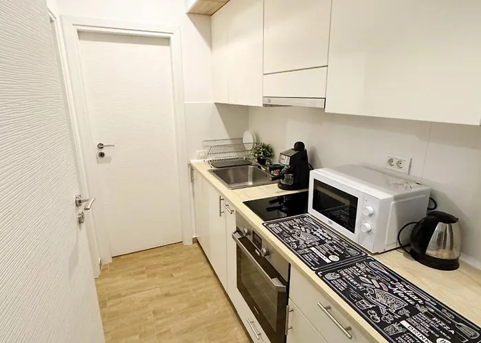 Executive Loft Apartment Bucureşti