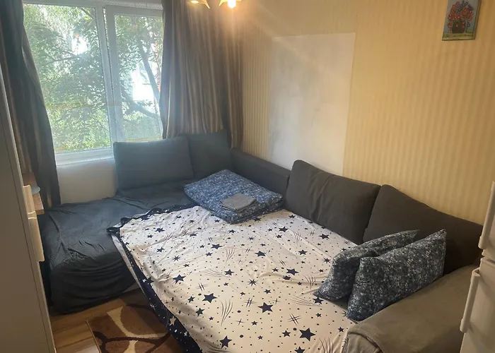 Studio Fain Bucureşti