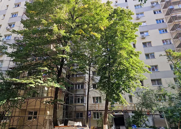 Ben'S Cosy Studio In Bucureşti