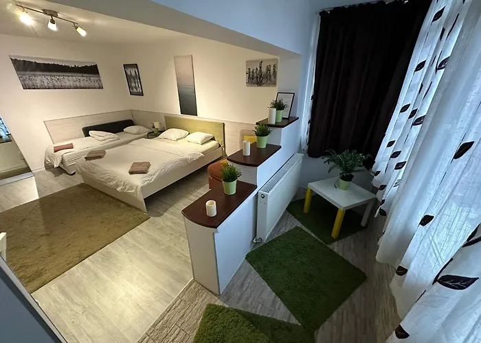 New Green Apartment Studio 1 Bucureşti