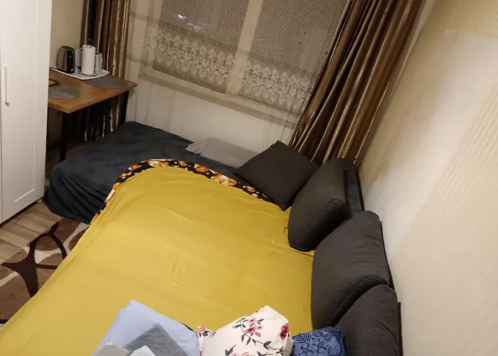 Studio Fain Bucureşti