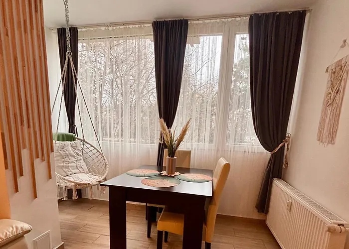 Cozy Apartment Floreasca Bucureşti