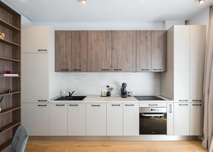 Cozy Business Area 1BR near Aviatiei Apartment Bucureşti
