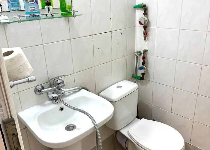 Casa Andu Centru Apartment Bucureşti