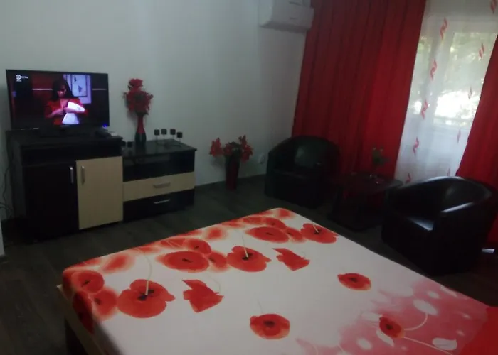 Studio Lujerului 2 Bucureşti