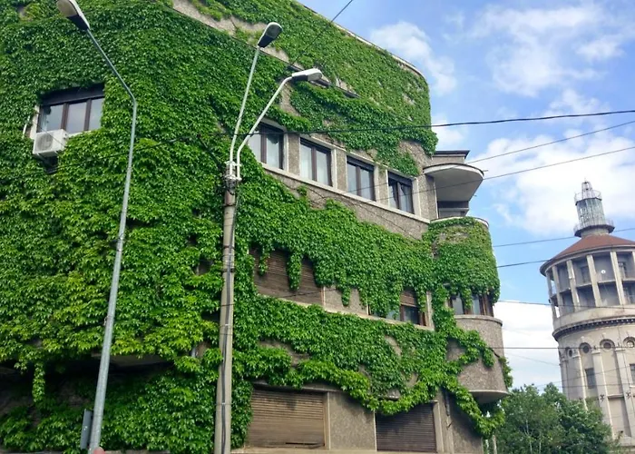 Central Green House Bucureşti
